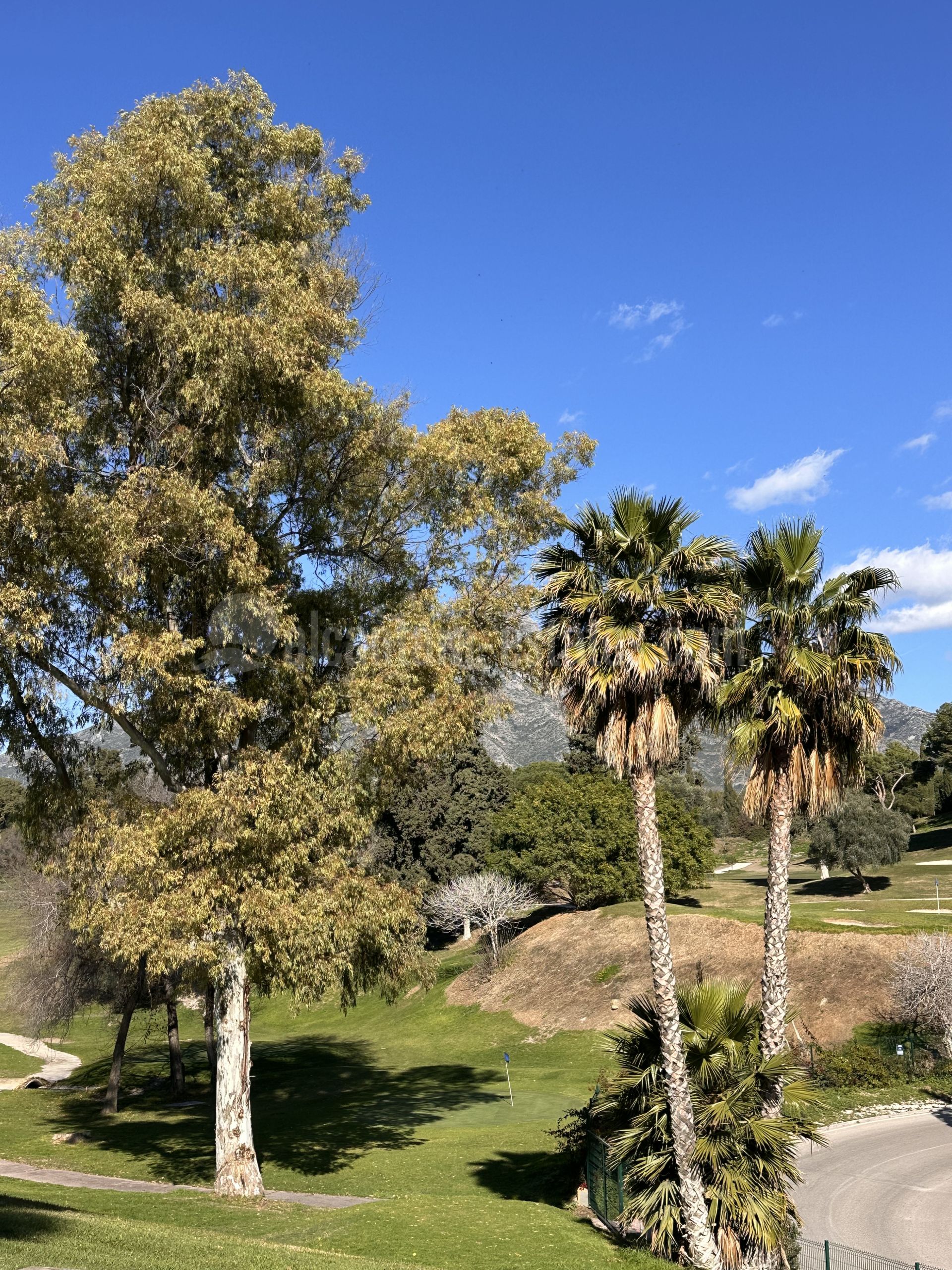 Adosado en Nueva Andalucia, Marbella