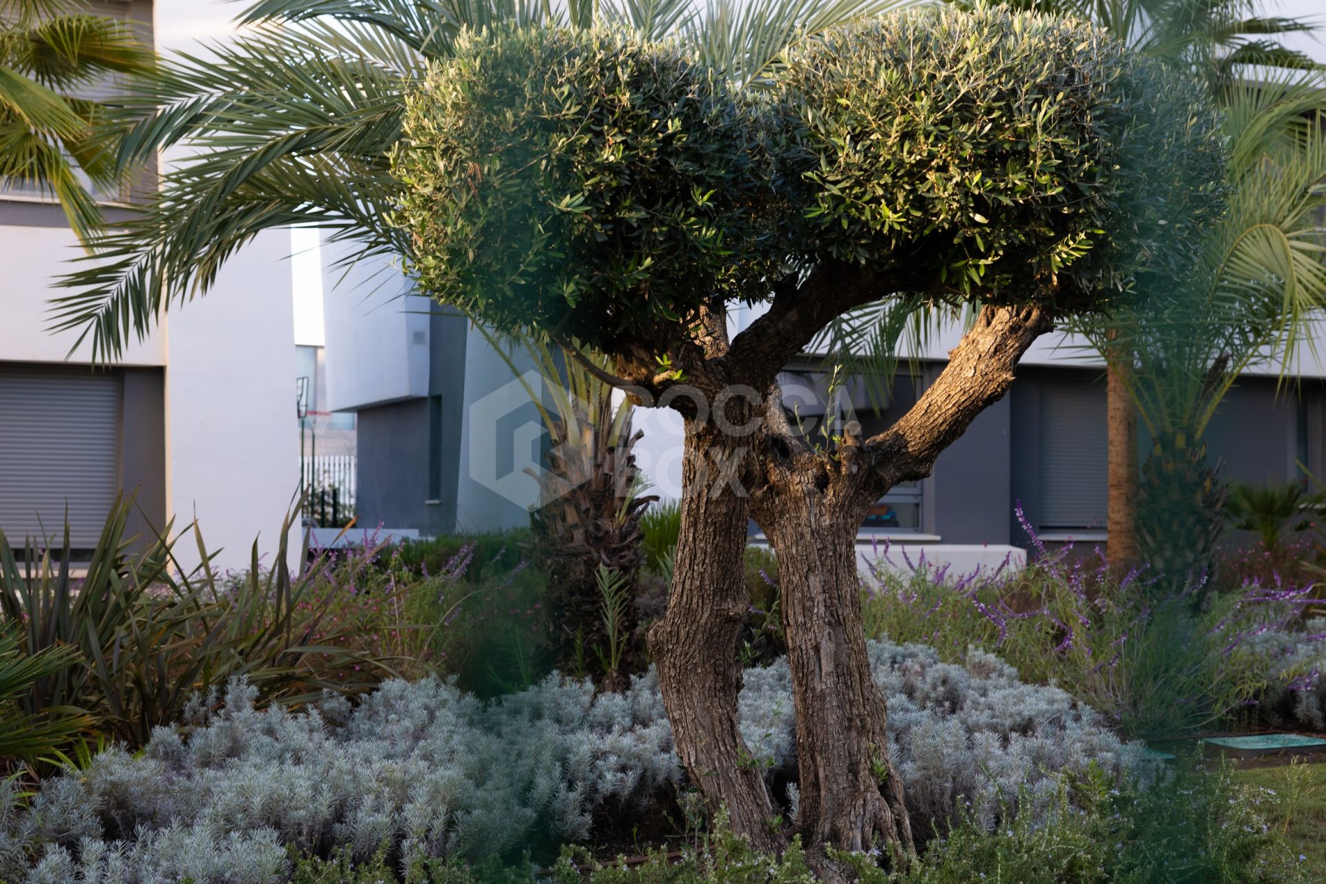 Apartments with four bedrooms, a garden, and a terrace.