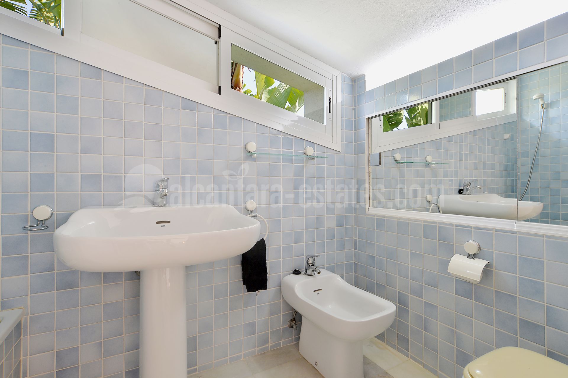 Villa en Elviria, Marbella