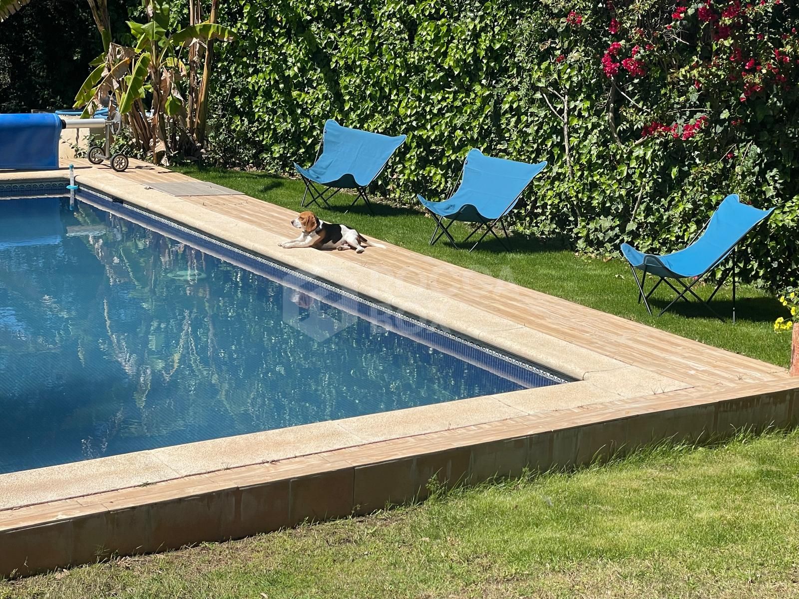 West-Facing Villa for Sale in Zona C, Sotogrande Alto