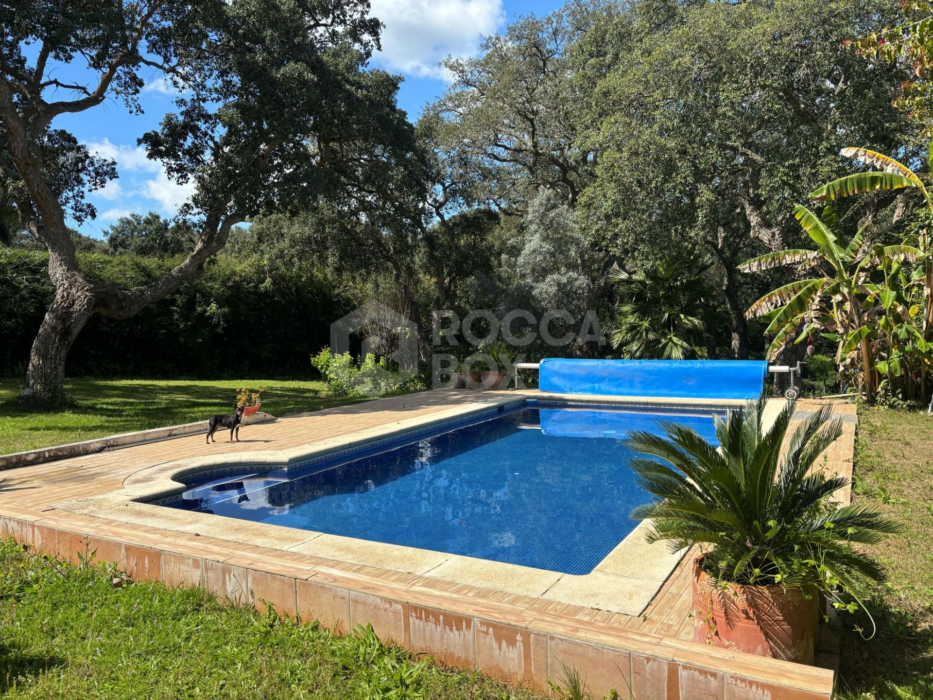 West-Facing Villa for Sale in Zona C, Sotogrande Alto