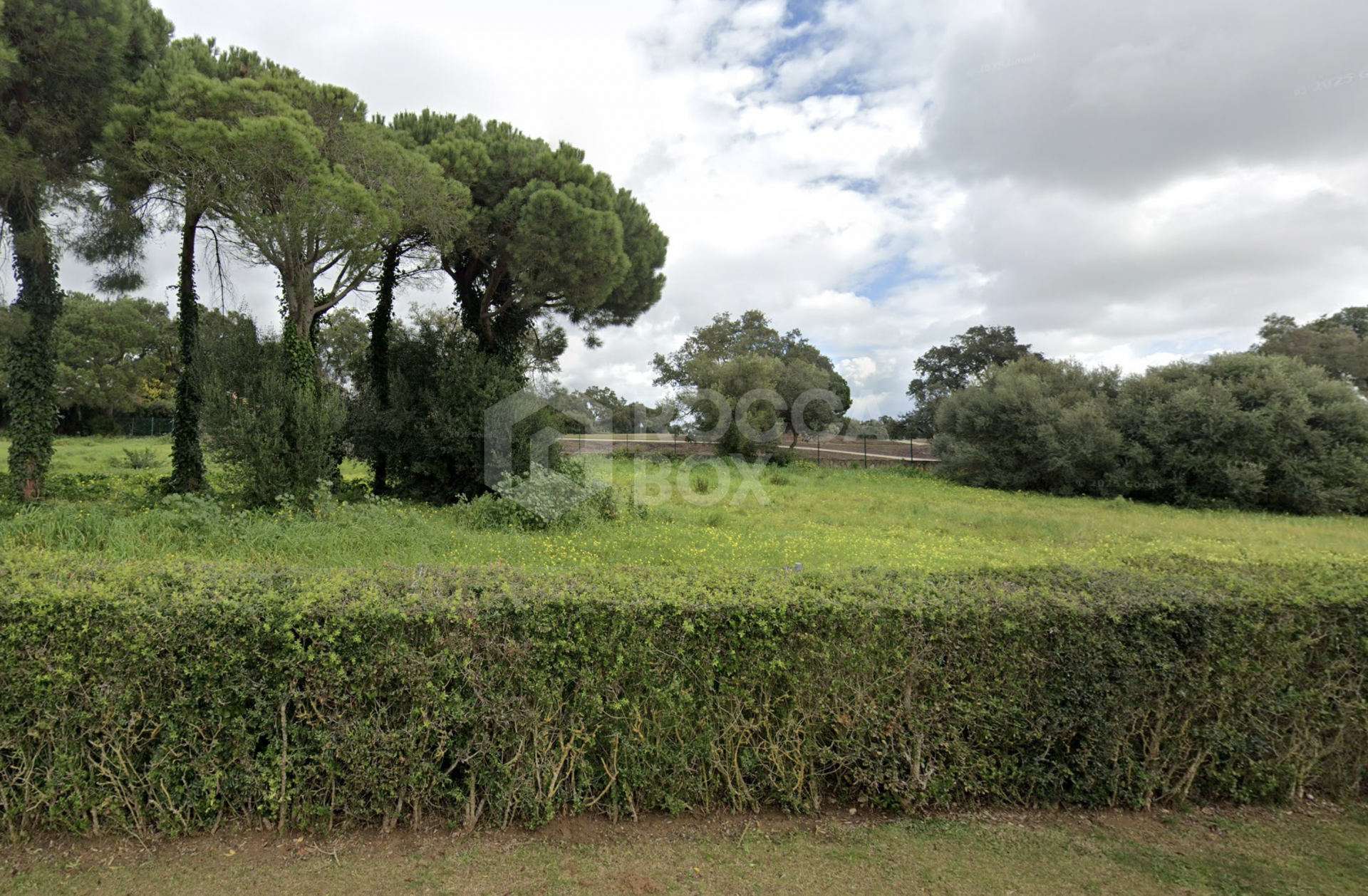Plot for Sale in San Roque Club