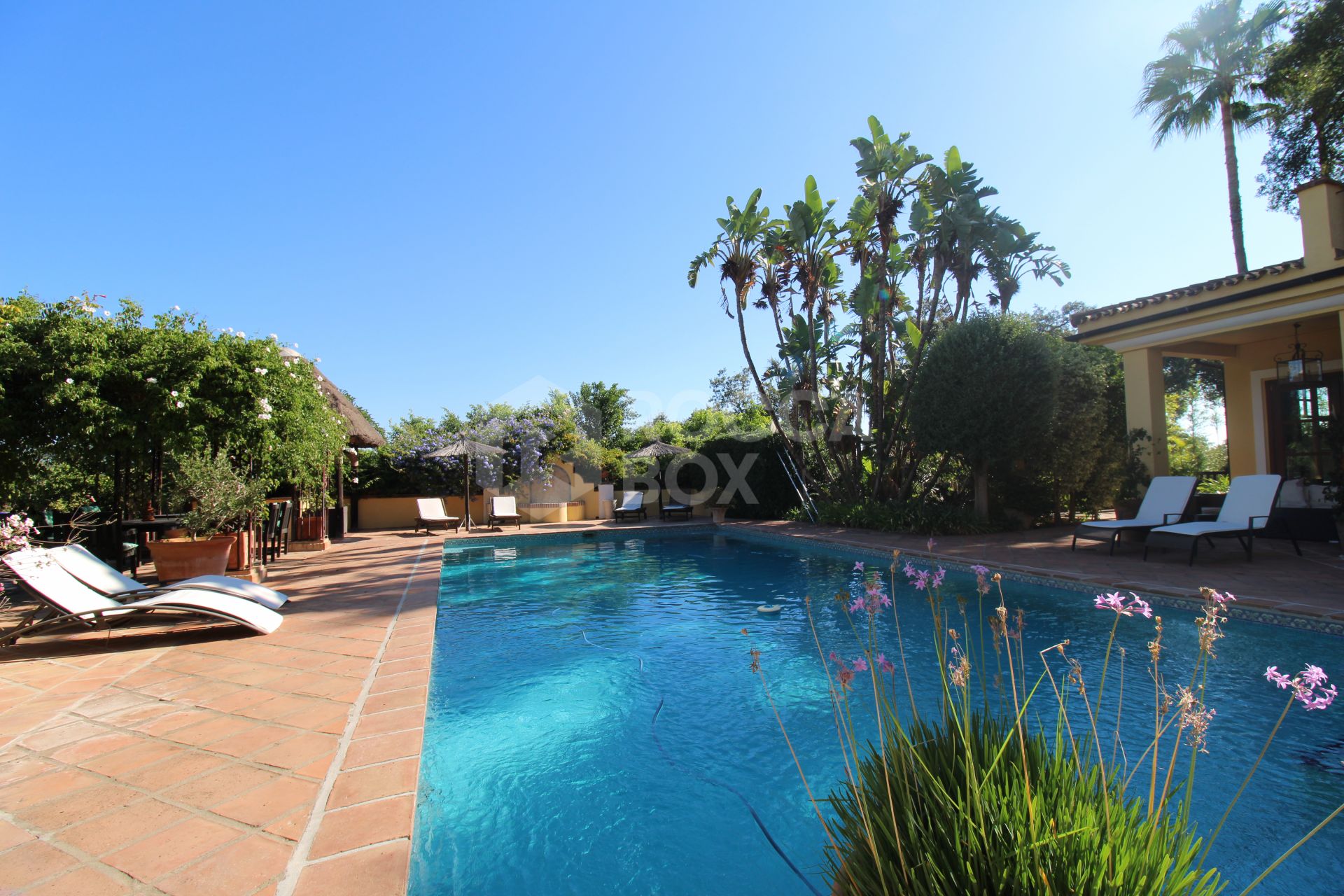 Villa Casa Abelia in Zona C , Sotogrande, Cadiz