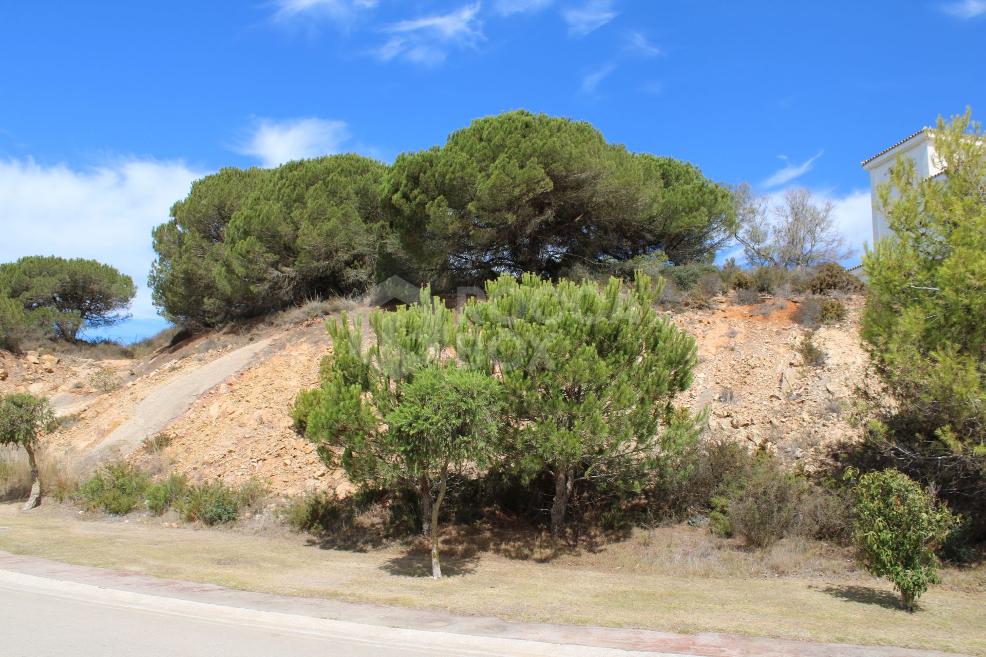 Plot with Spectacular Sea Views in Sotogrande