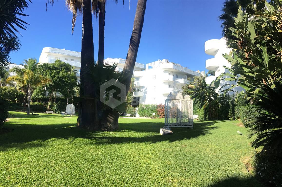 OPORTUNITY IN GOLDEN MILE! GRATE APARTMENT OF 3 BED!