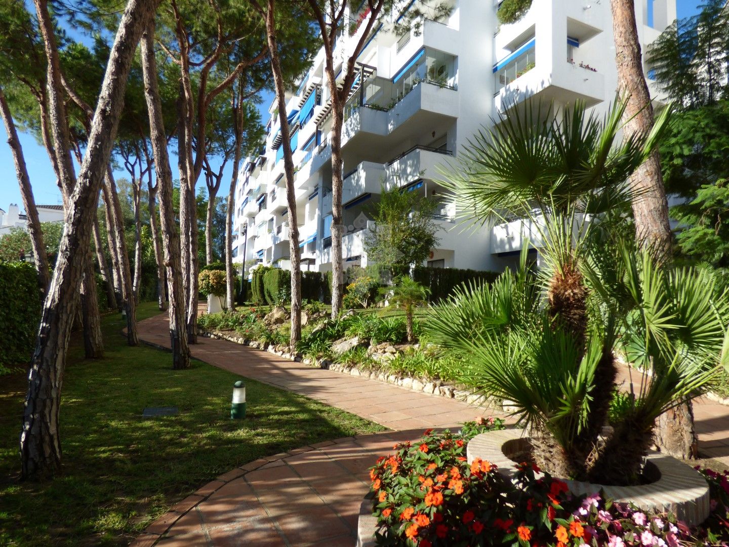 Apartment in Marbella - Puerto Banus, Marbella