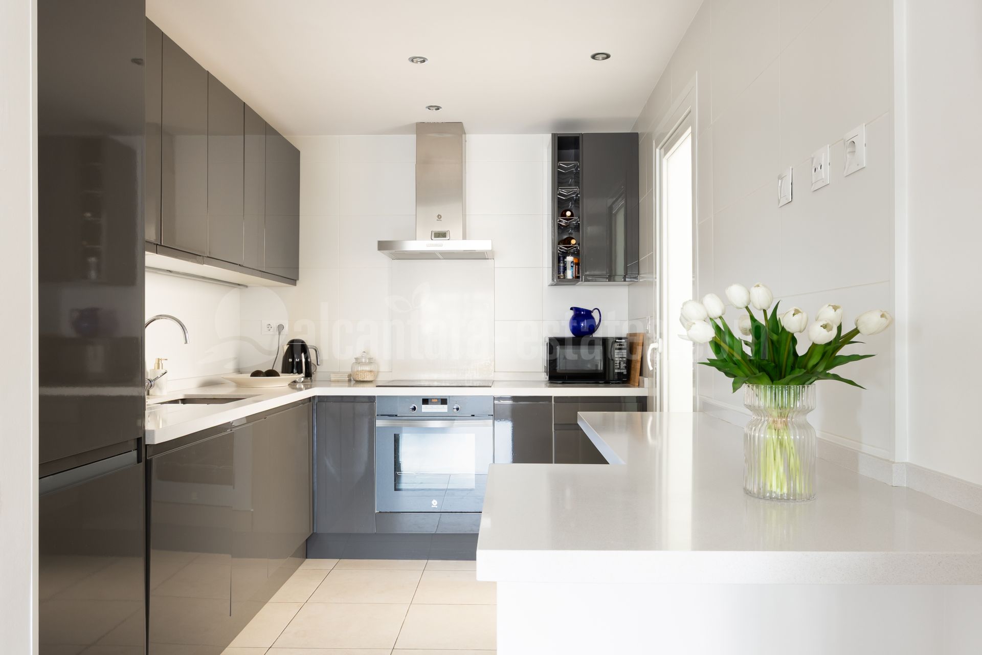 Apartment in La Campana, Marbella