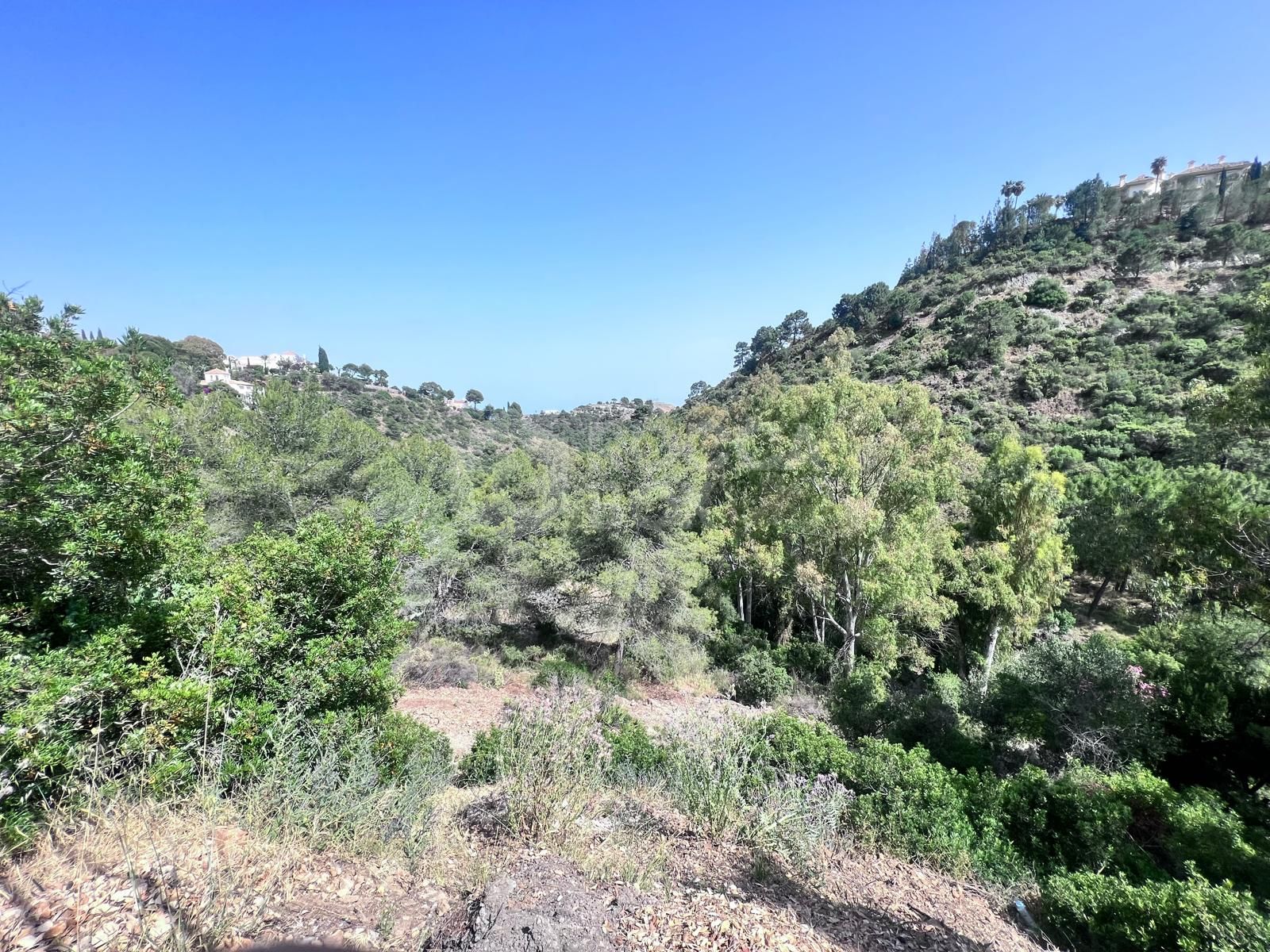 Plot for sale in El Madroñal, Benahavis