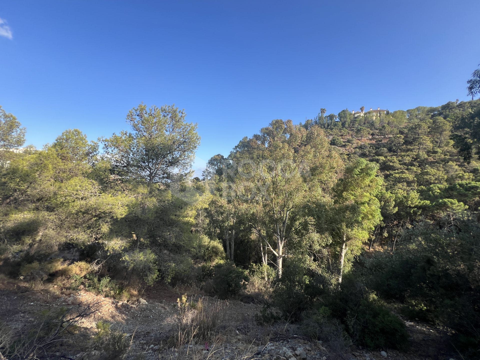 Plot for sale in El Madroñal, Benahavis