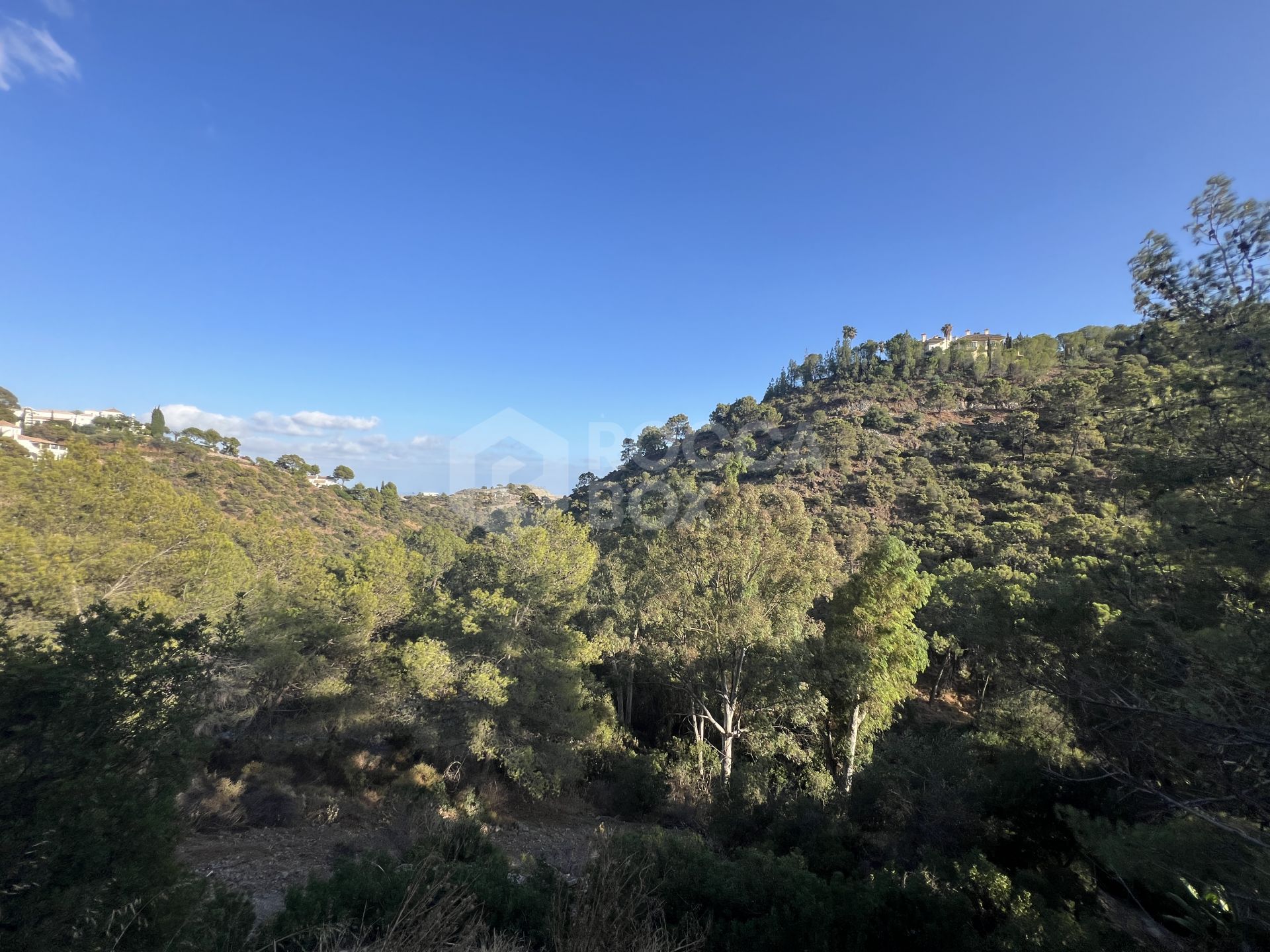 Plot for sale in El Madroñal, Benahavis