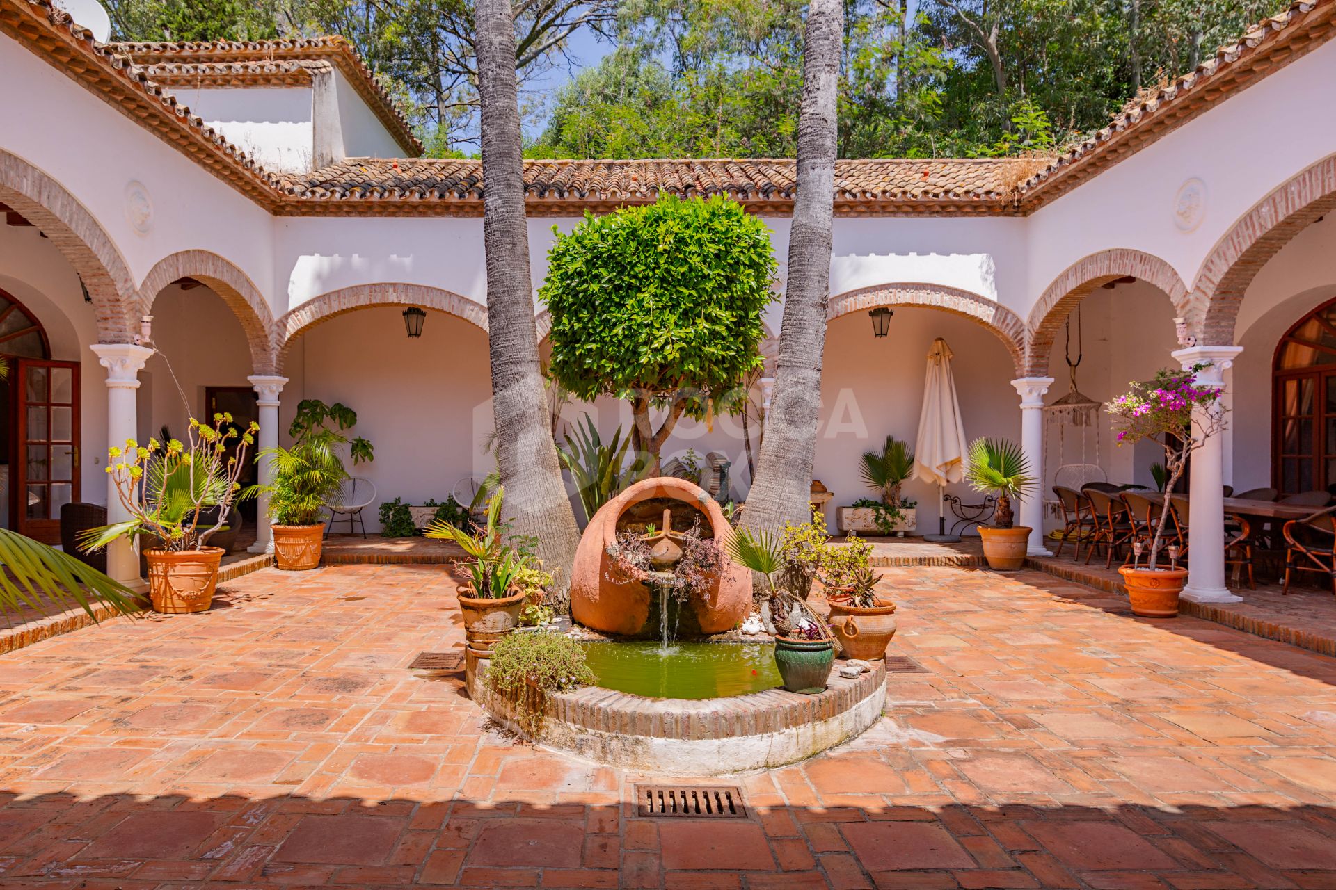 The Iconic Roman Oasis — Casares Costa
