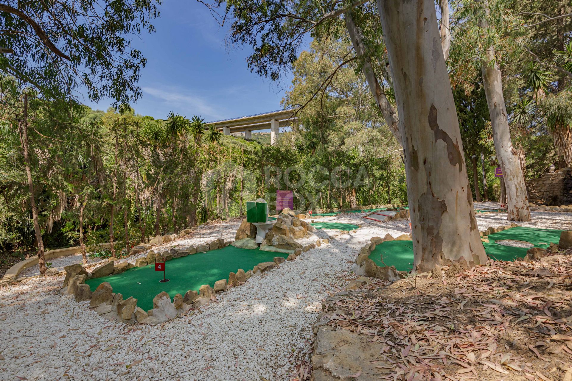 The Iconic Roman Oasis — Casares Costa