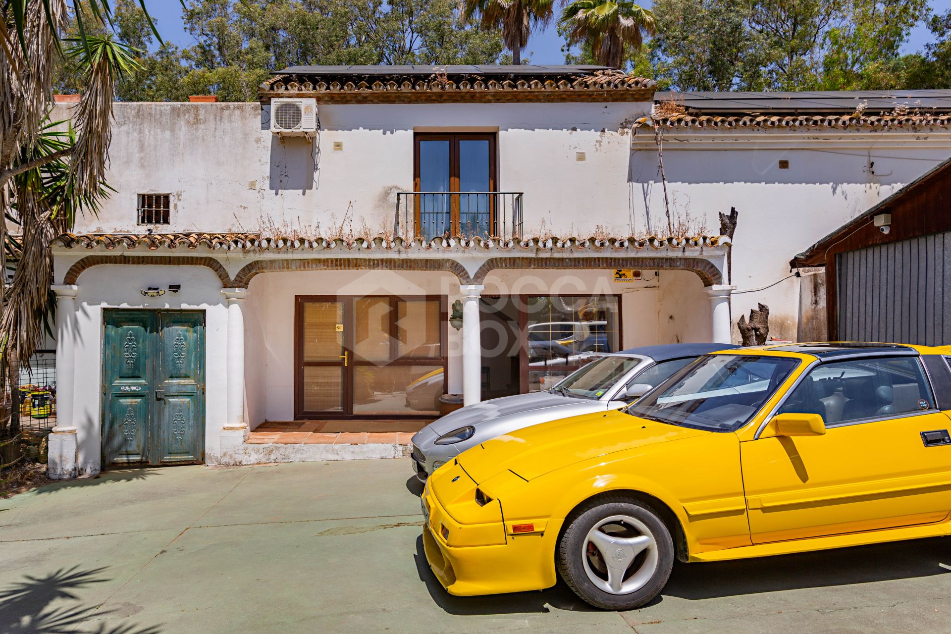 The Iconic Roman Oasis — Casares Costa