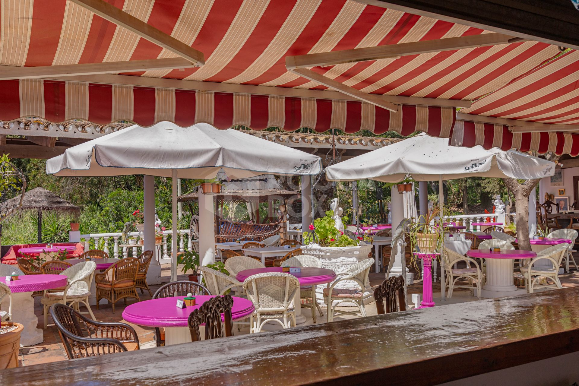 The Iconic Roman Oasis — Casares Costa