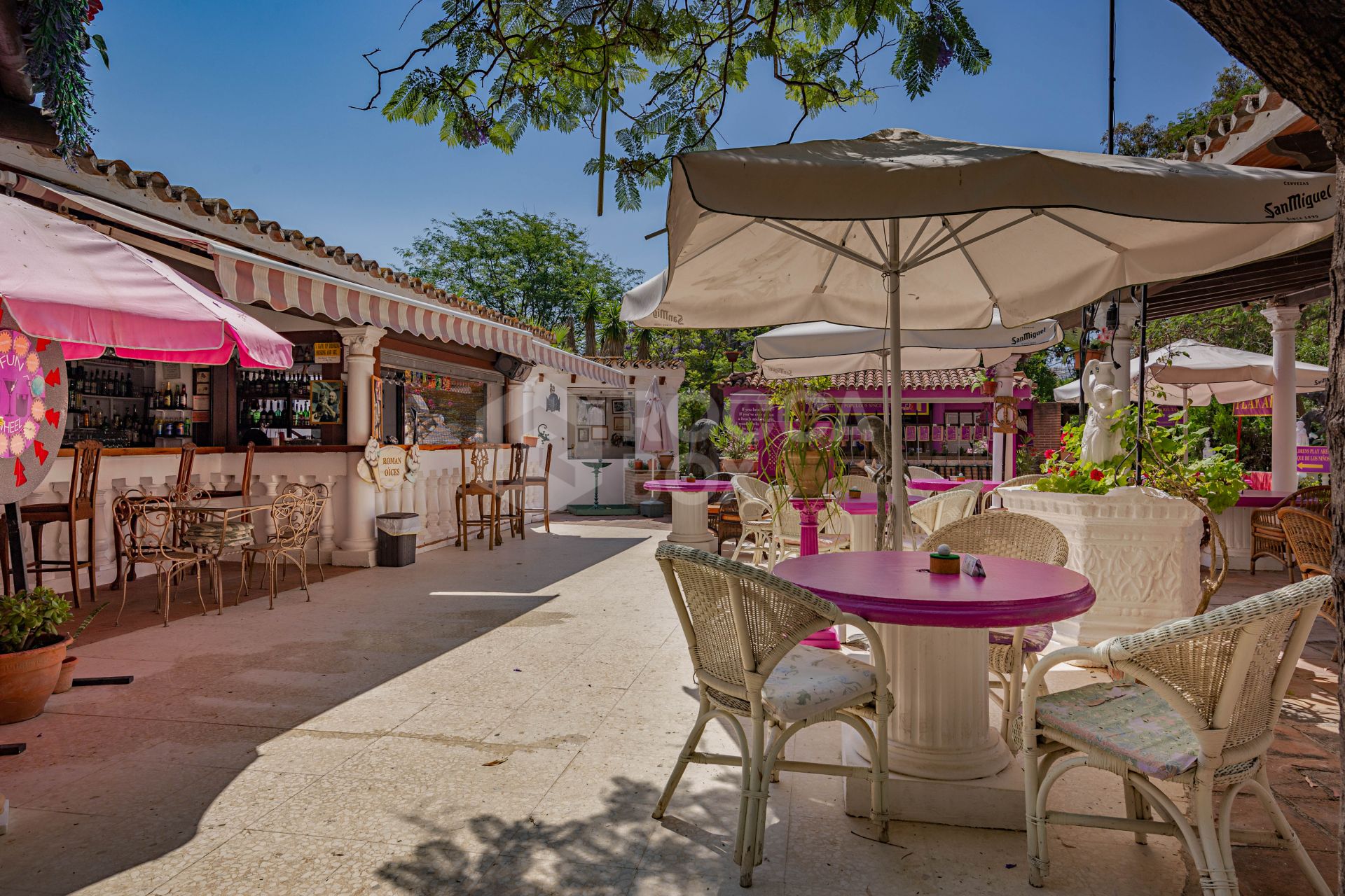 The Iconic Roman Oasis — Casares Costa