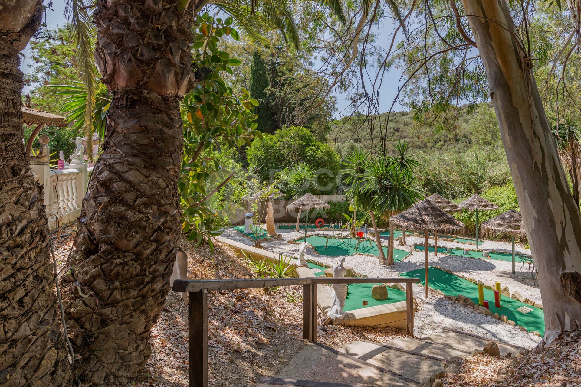 The Iconic Roman Oasis — Casares Costa