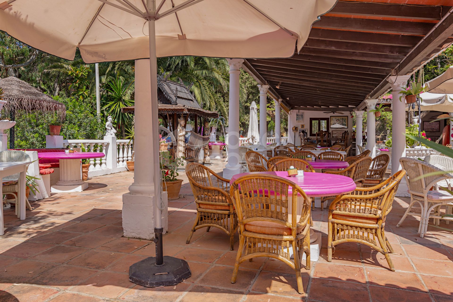 The Iconic Roman Oasis — Casares Costa