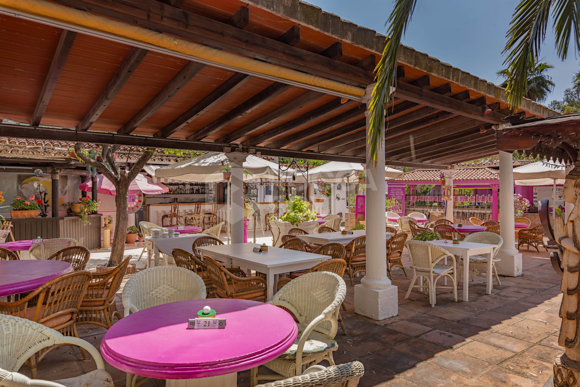 The Iconic Roman Oasis — Casares Costa