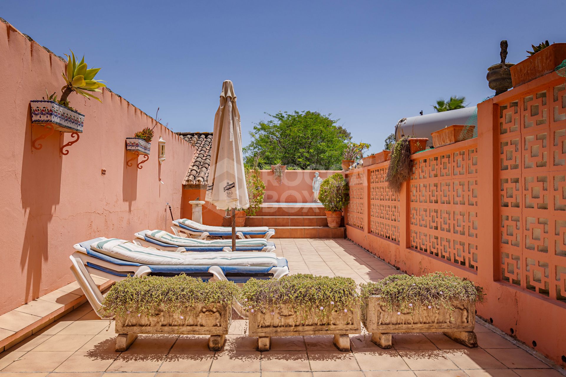 The Iconic Roman Oasis — Casares Costa