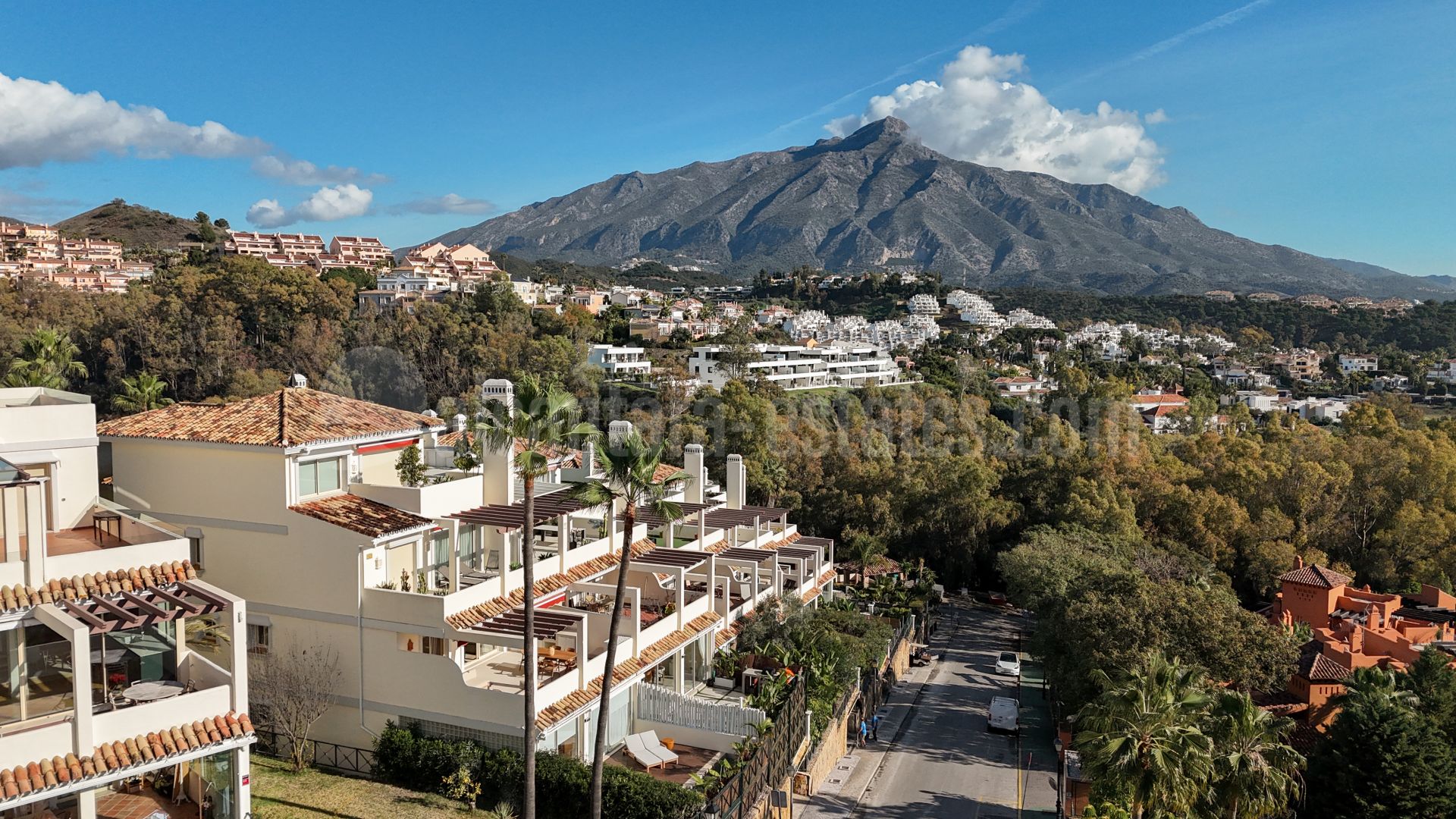 Apartment in Palacetes Los Belvederes, Marbella