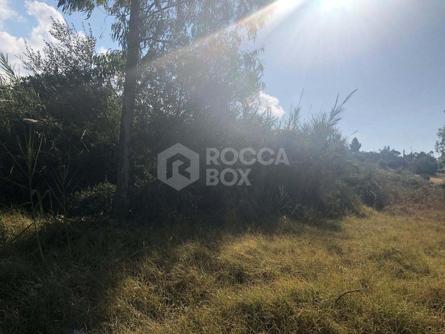 Plot for sale in Guadalmina Alta, San Pedro de Alcantara