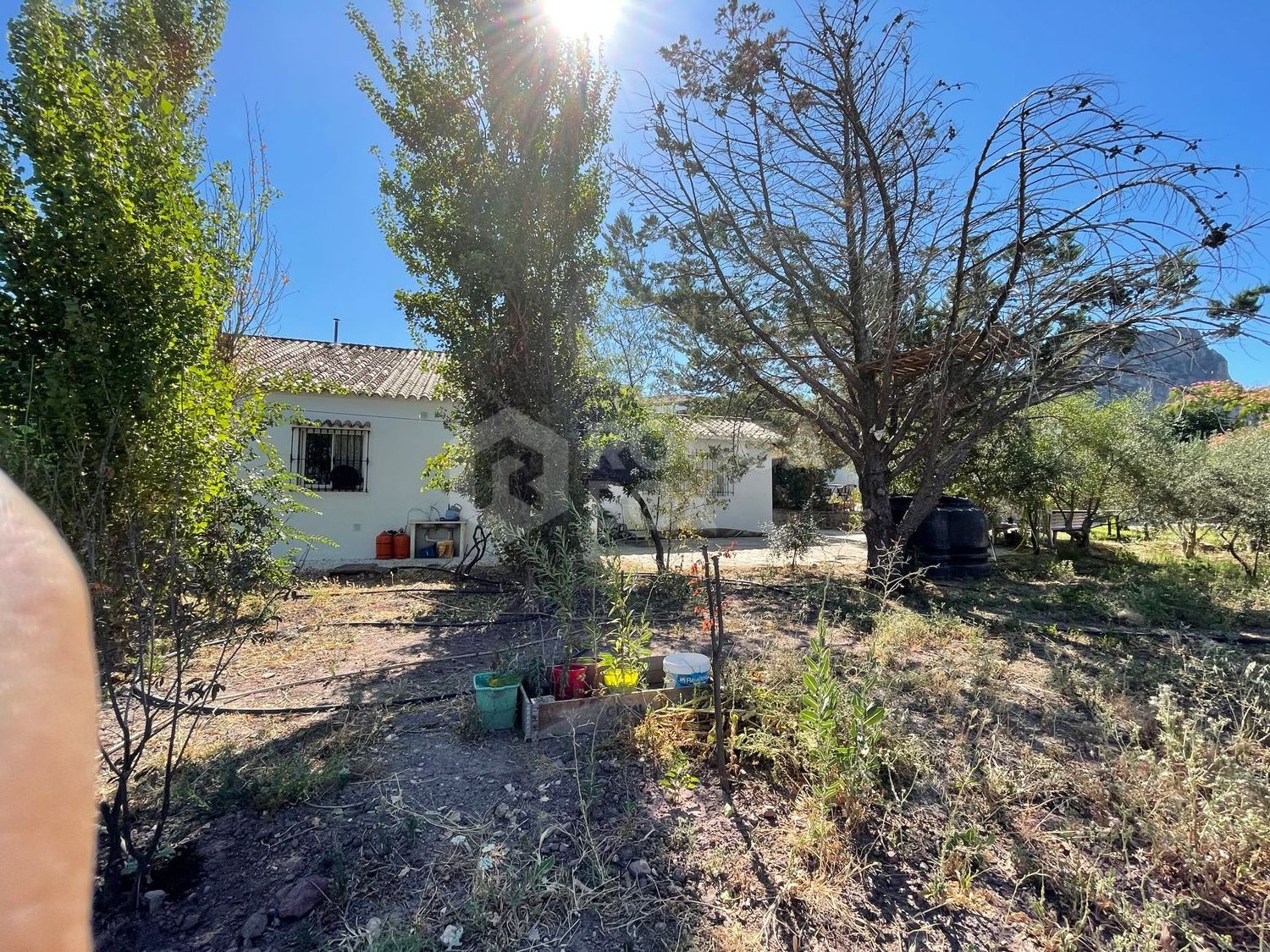 Cortijo for sale in El Gastor