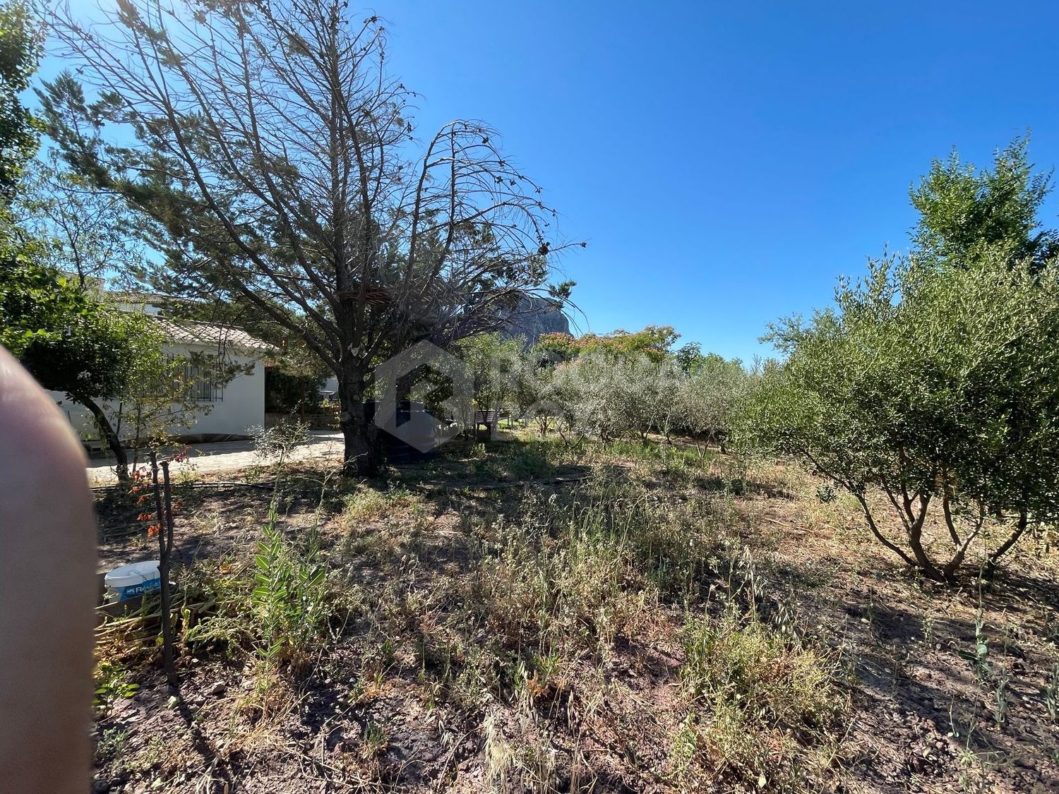 Cortijo for sale in El Gastor