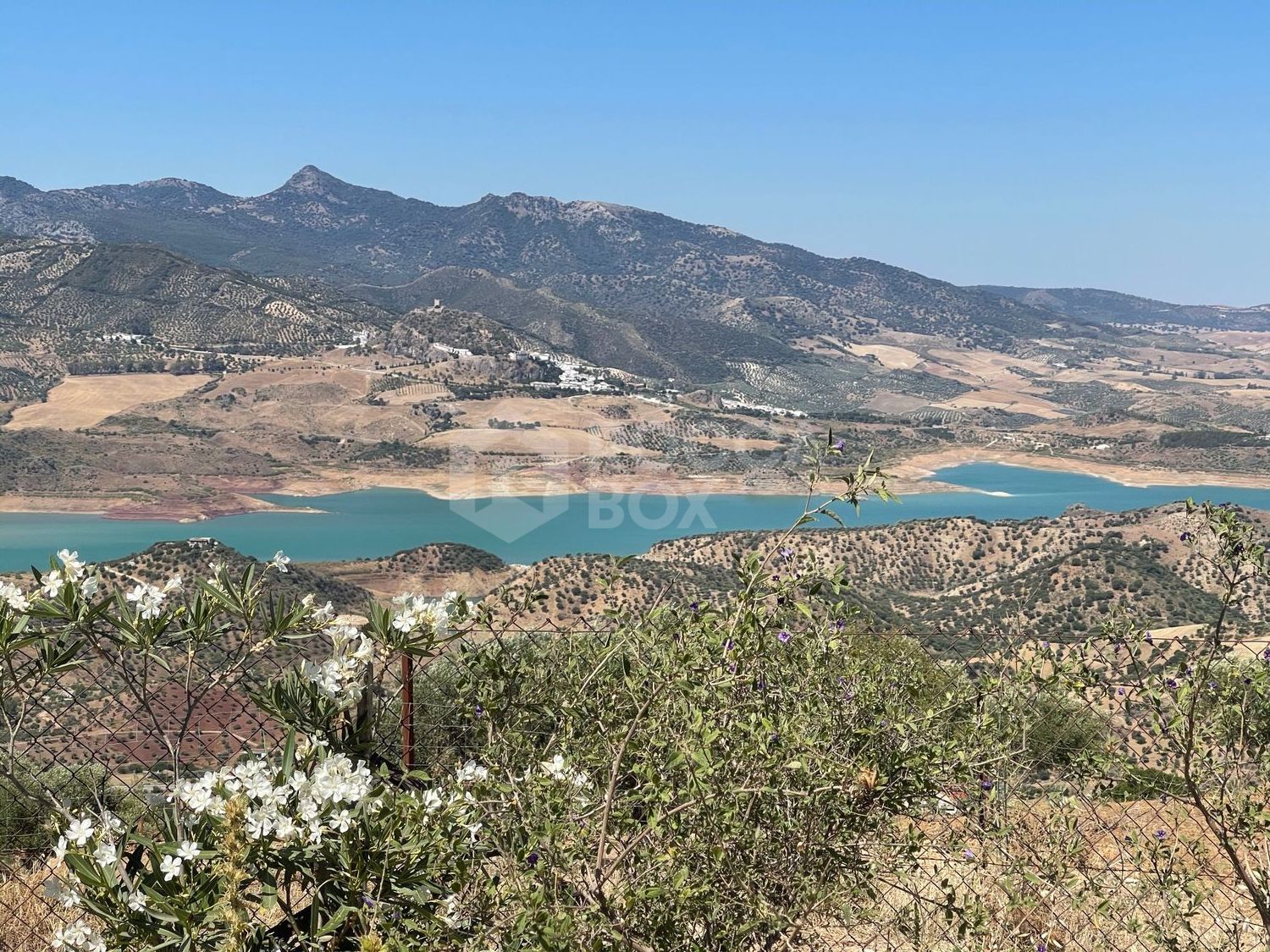 Cortijo for sale in El Gastor