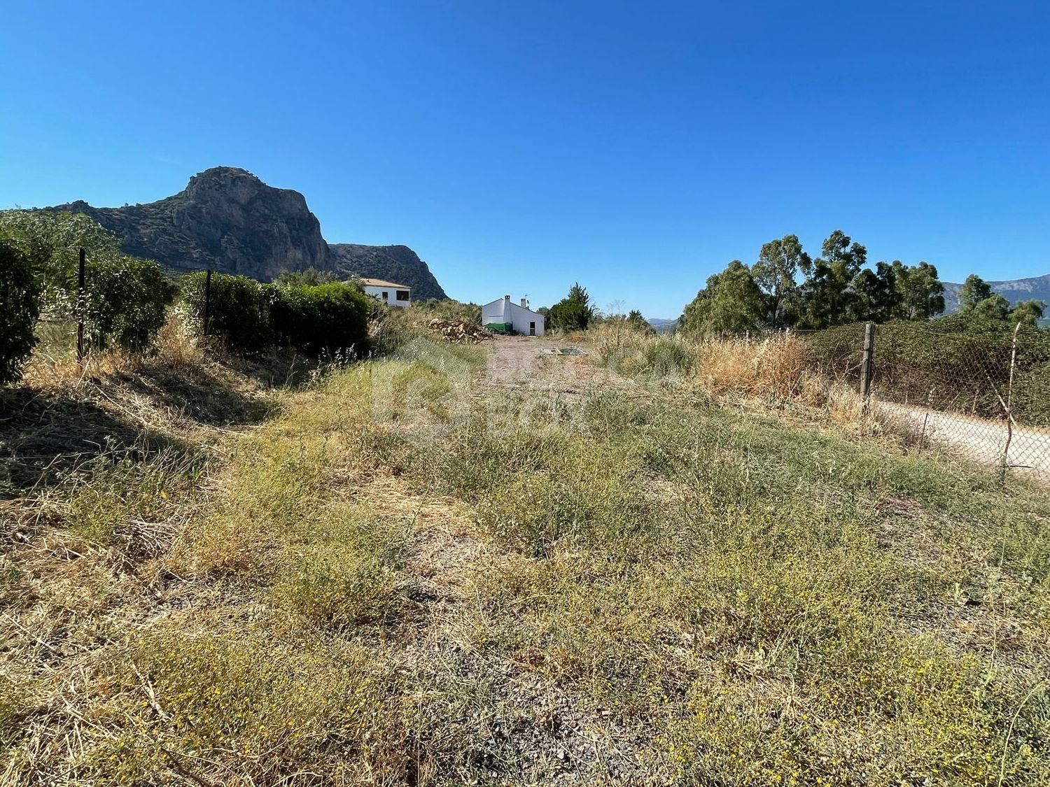 Cortijo for sale in El Gastor