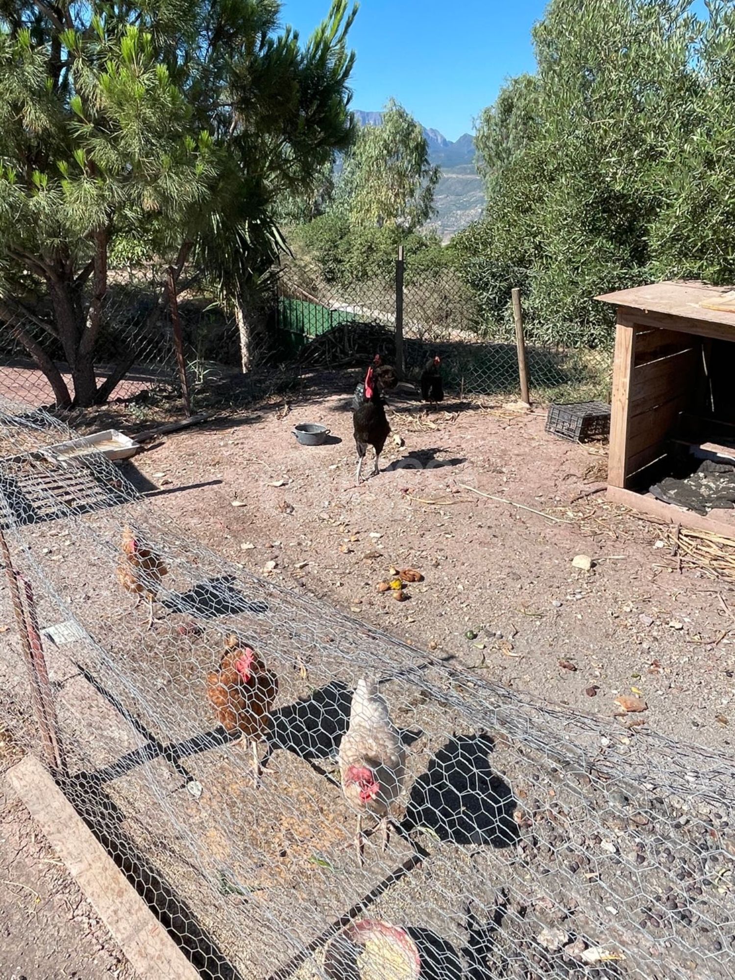 Cortijo for sale in El Gastor