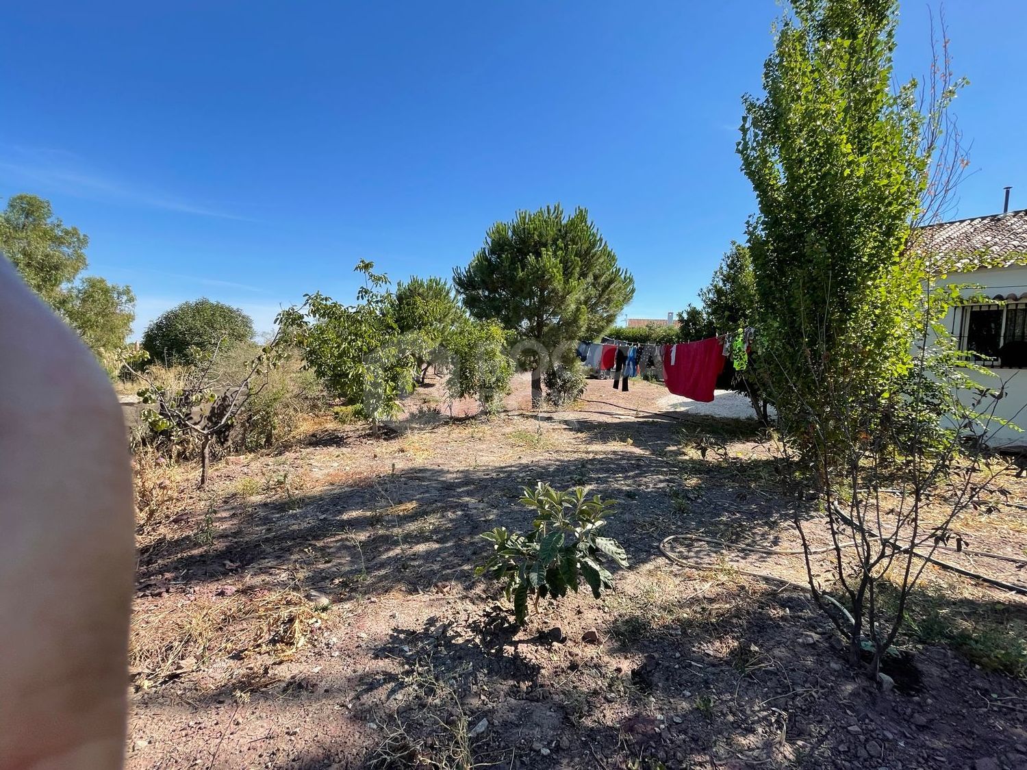 Cortijo for sale in El Gastor