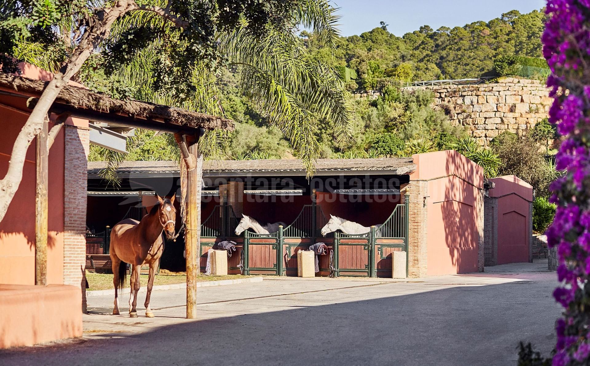 Villa in Marbella Club Golf Resort, Benahavis