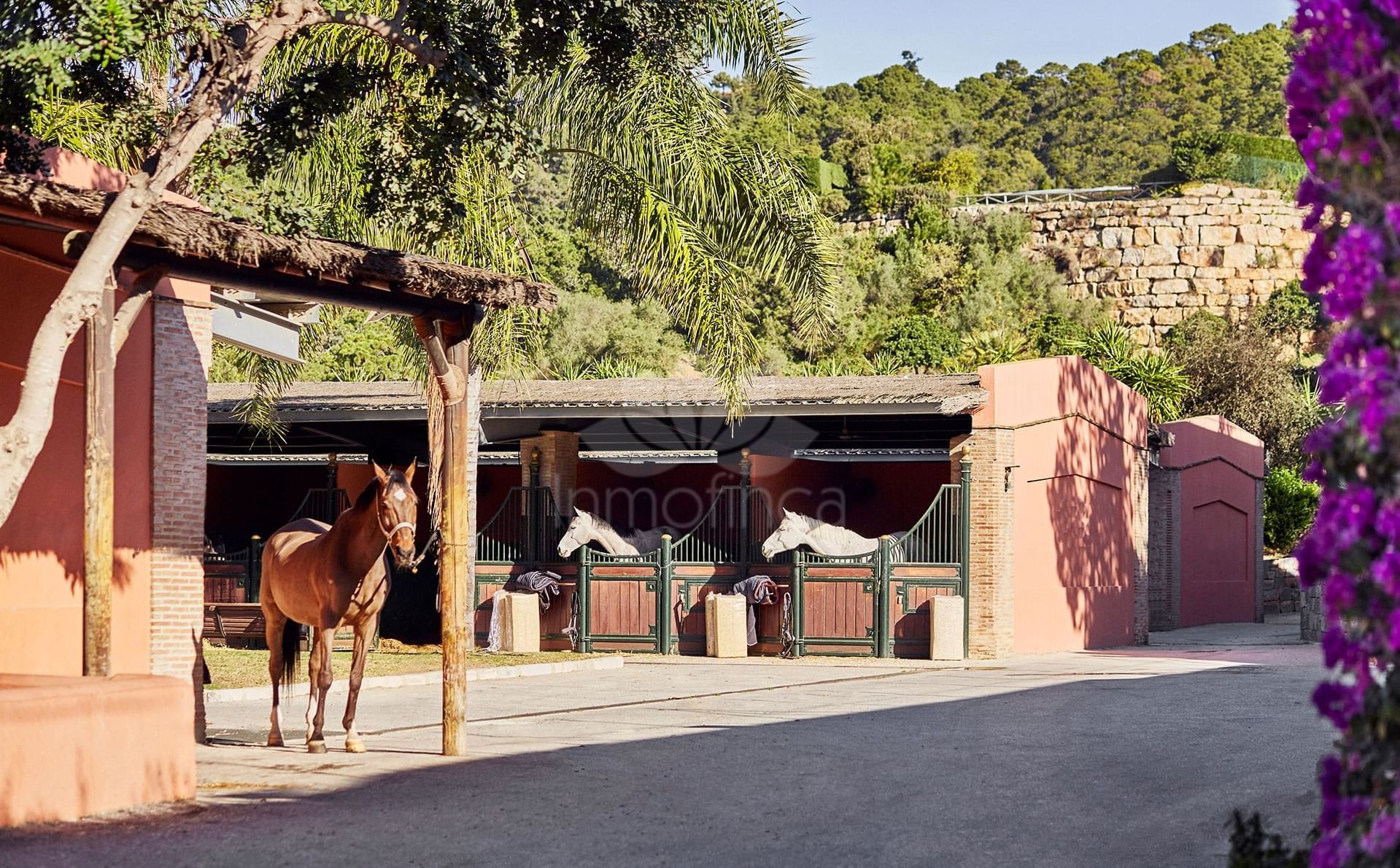 Villa in Marbella Club Golf Resort, Benahavis