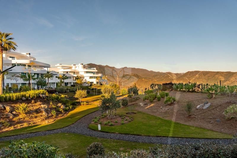 Apartamento Planta Baja en Palo Alto, Ojen
