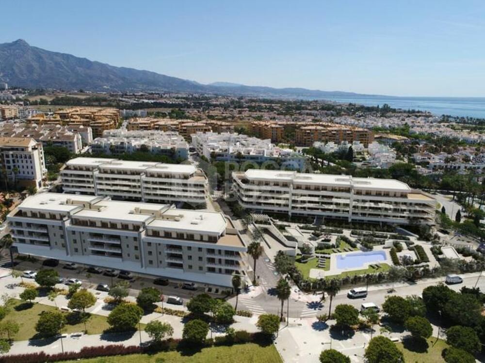 Commercial Premises to rent in San Pedro de Alcantara