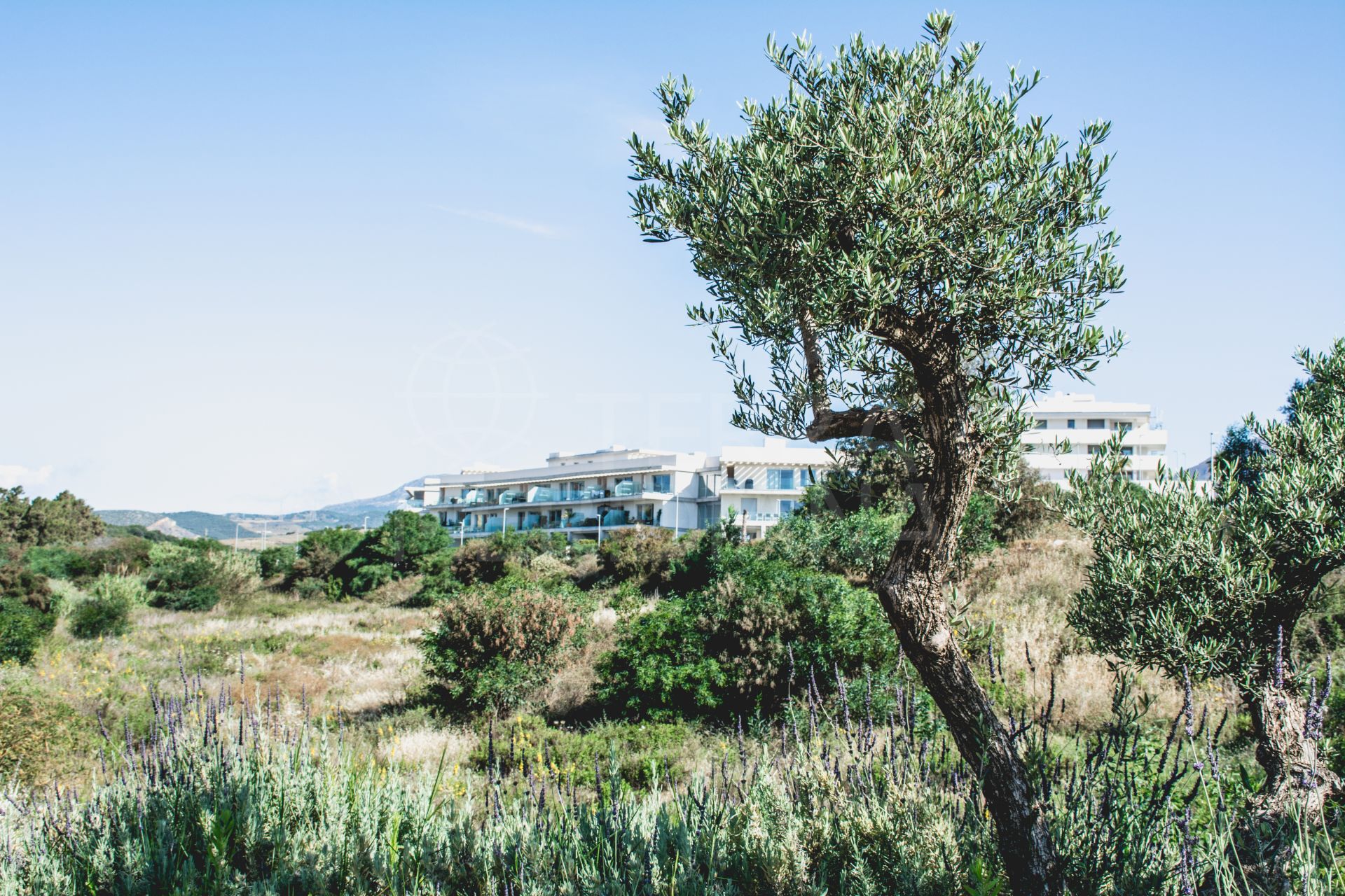 Penthouse in Serenity Views, Estepona