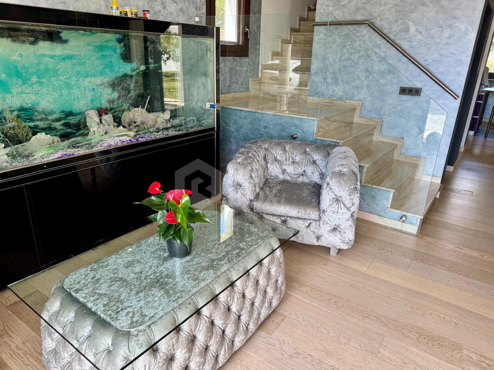 LUXURY