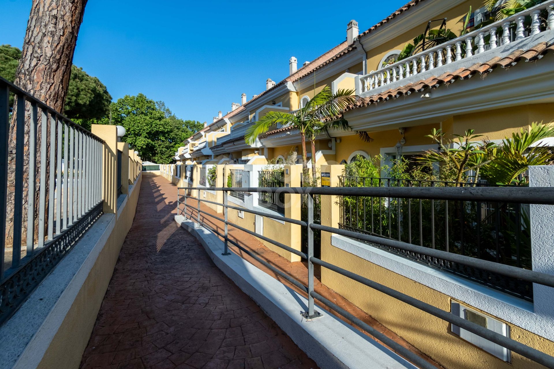 Modern South-Facing Townhouse with Premium Finishes – Move-In Ready