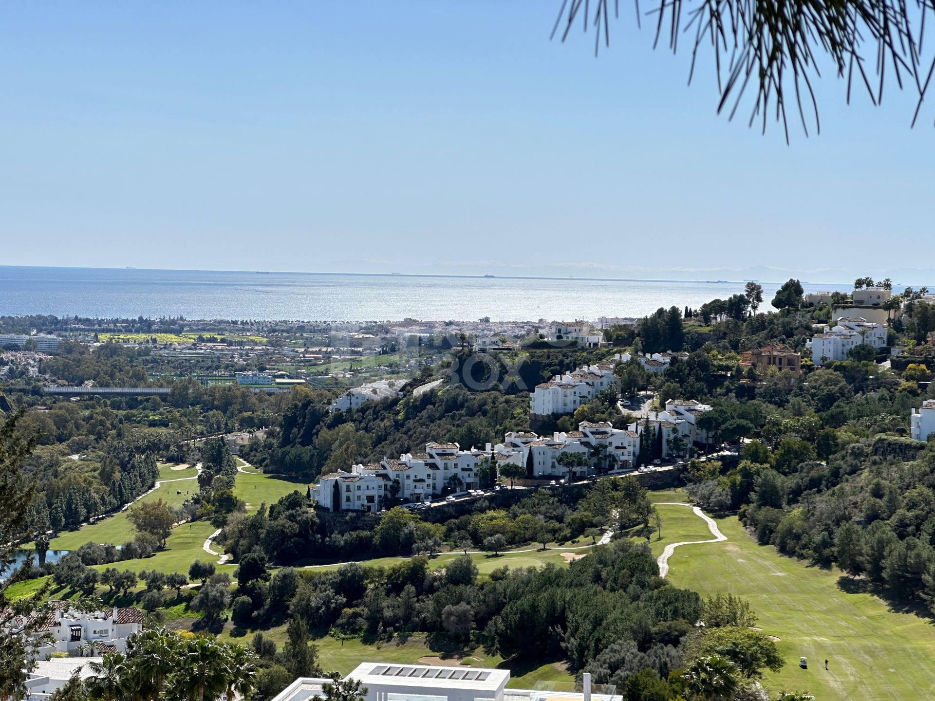 Madroñal View: Hope