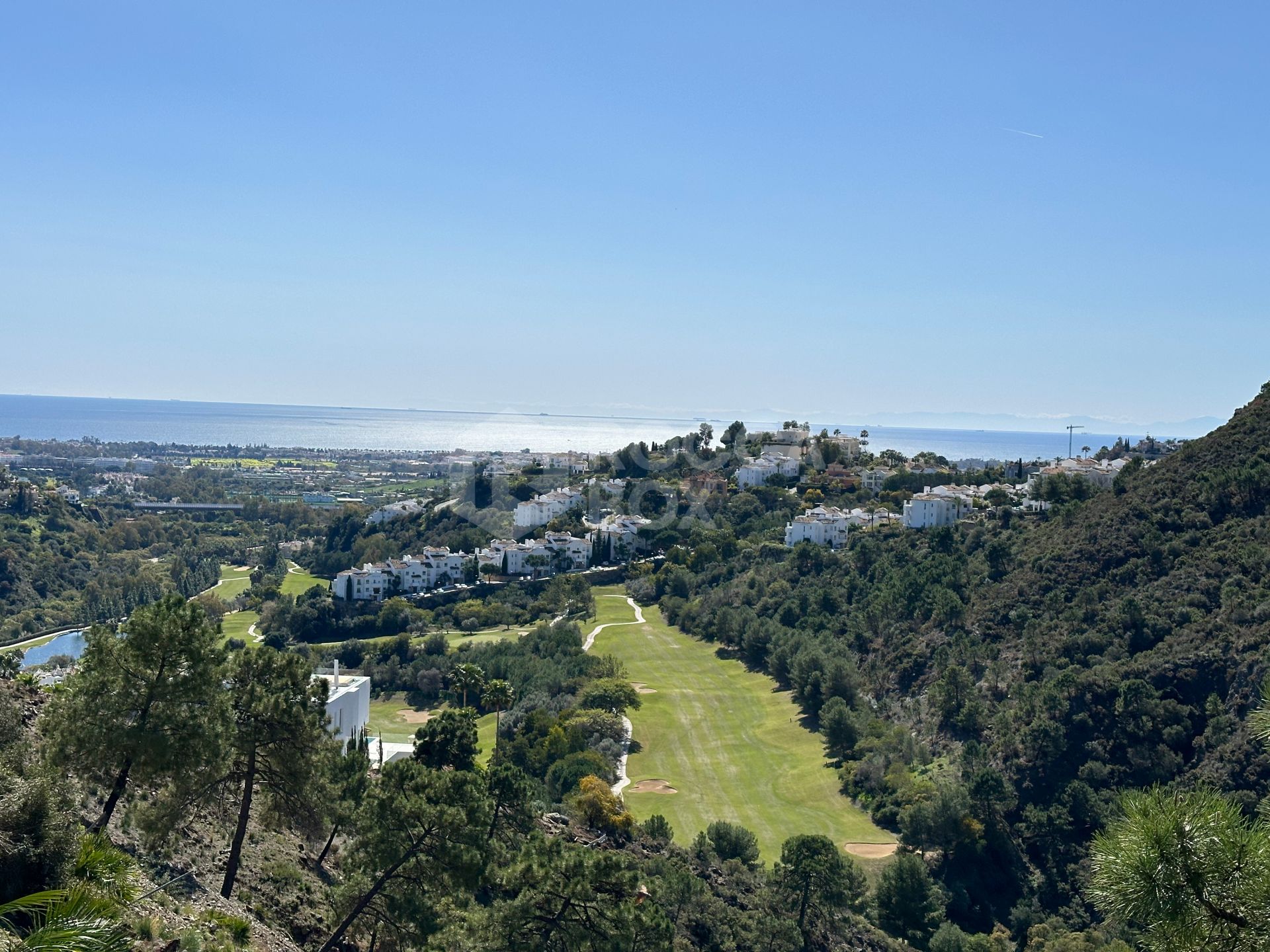 Madroñal View: Hope