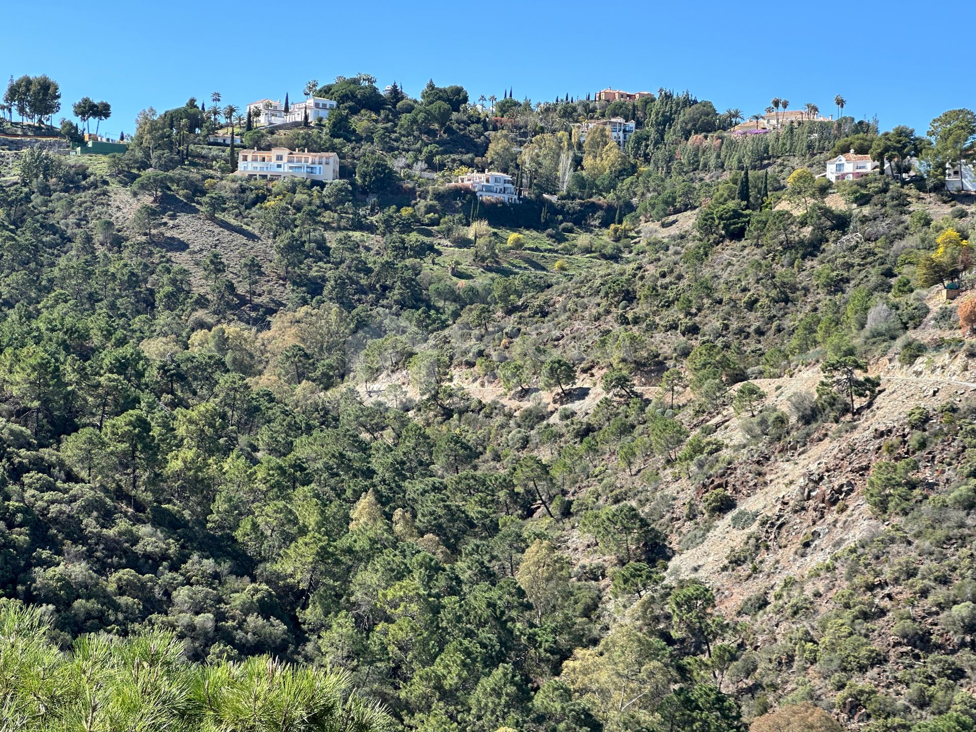 Madroñal View: Hope