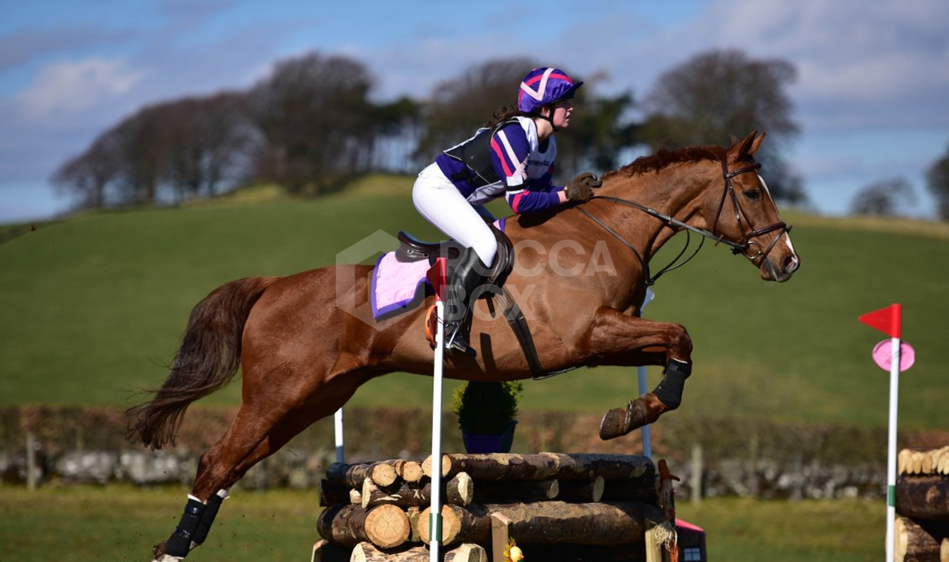 Madroñal View: Hope