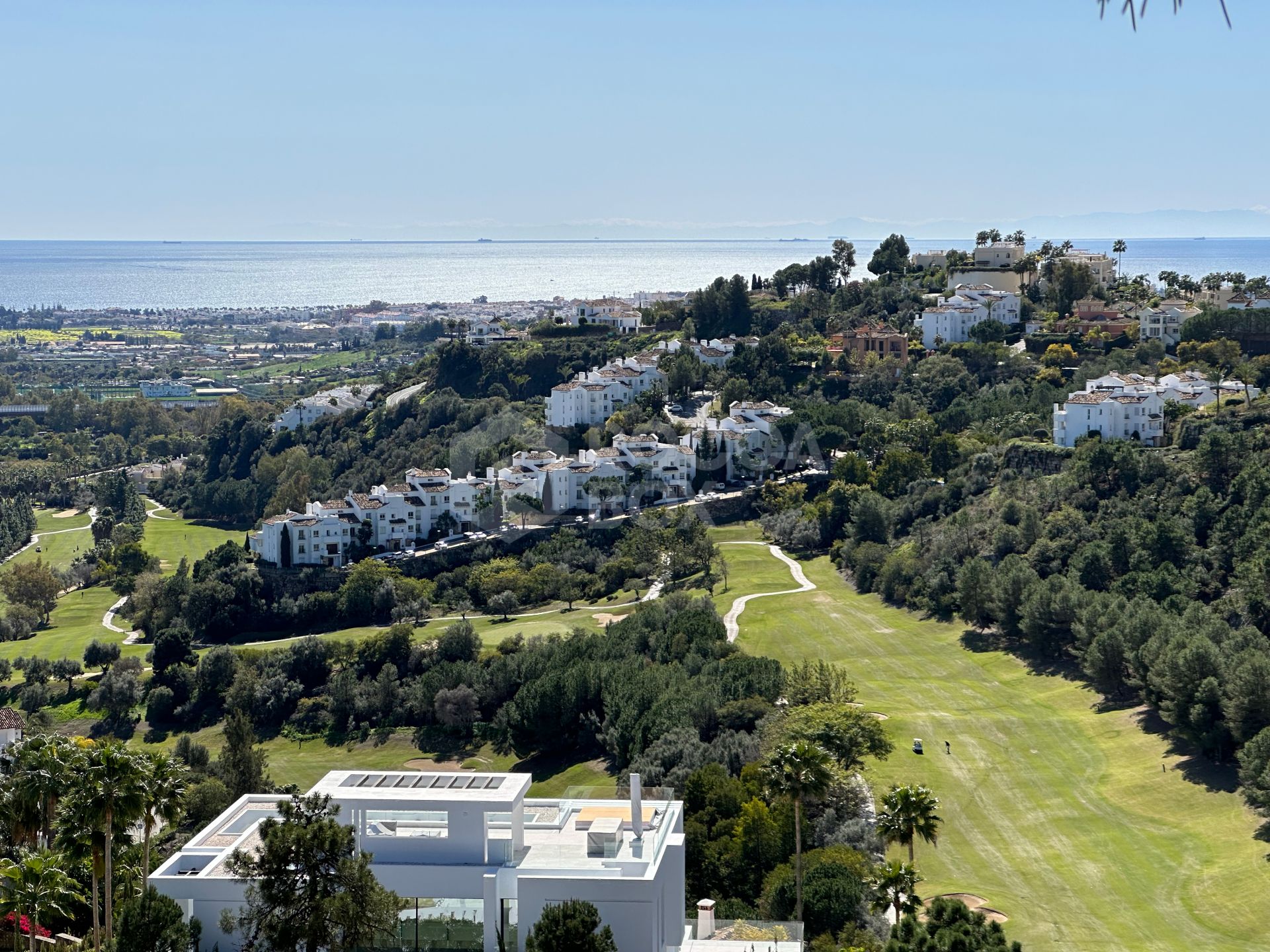 Madroñal View: Tiffany