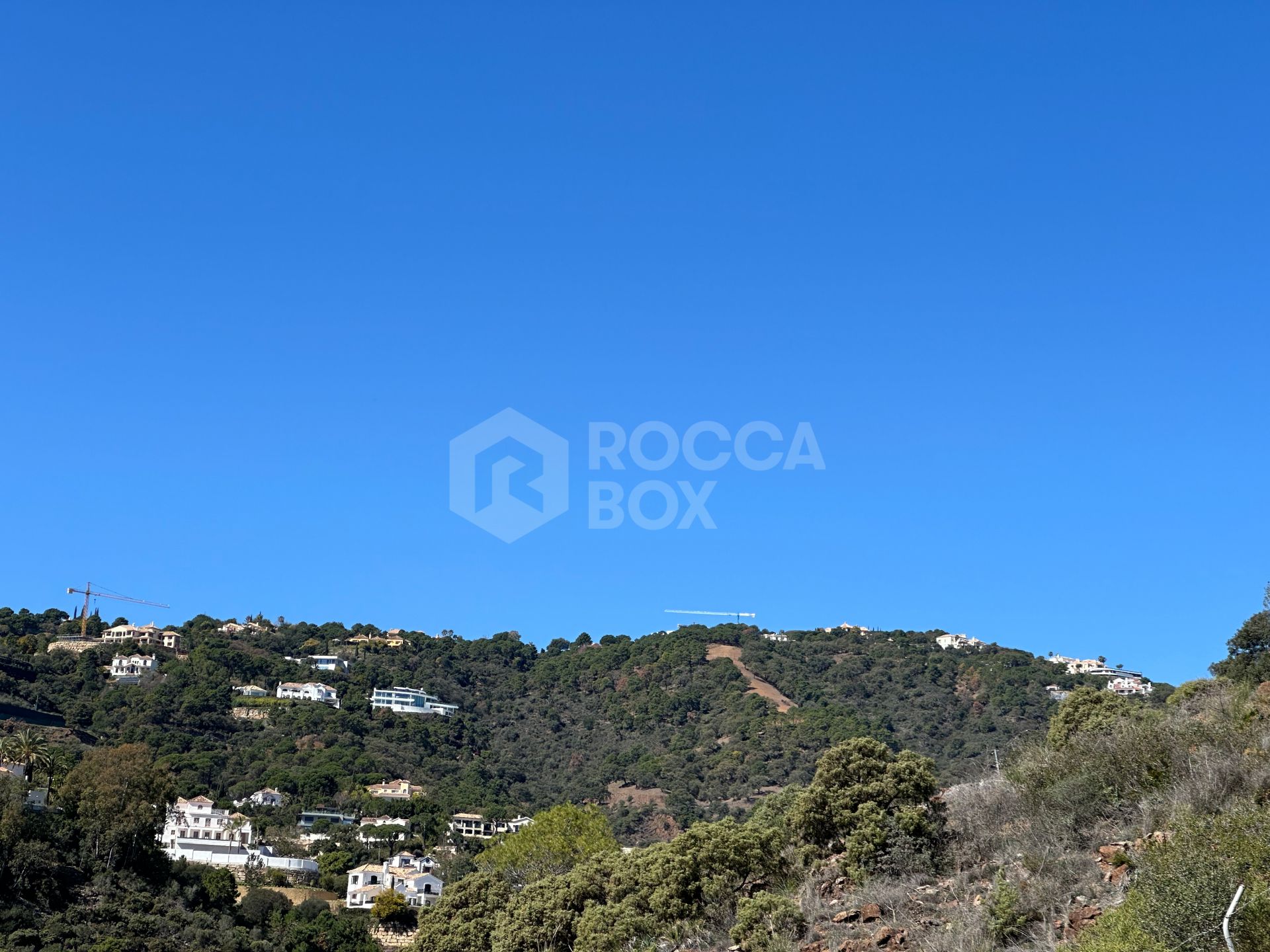 Madroñal View: Tiffany