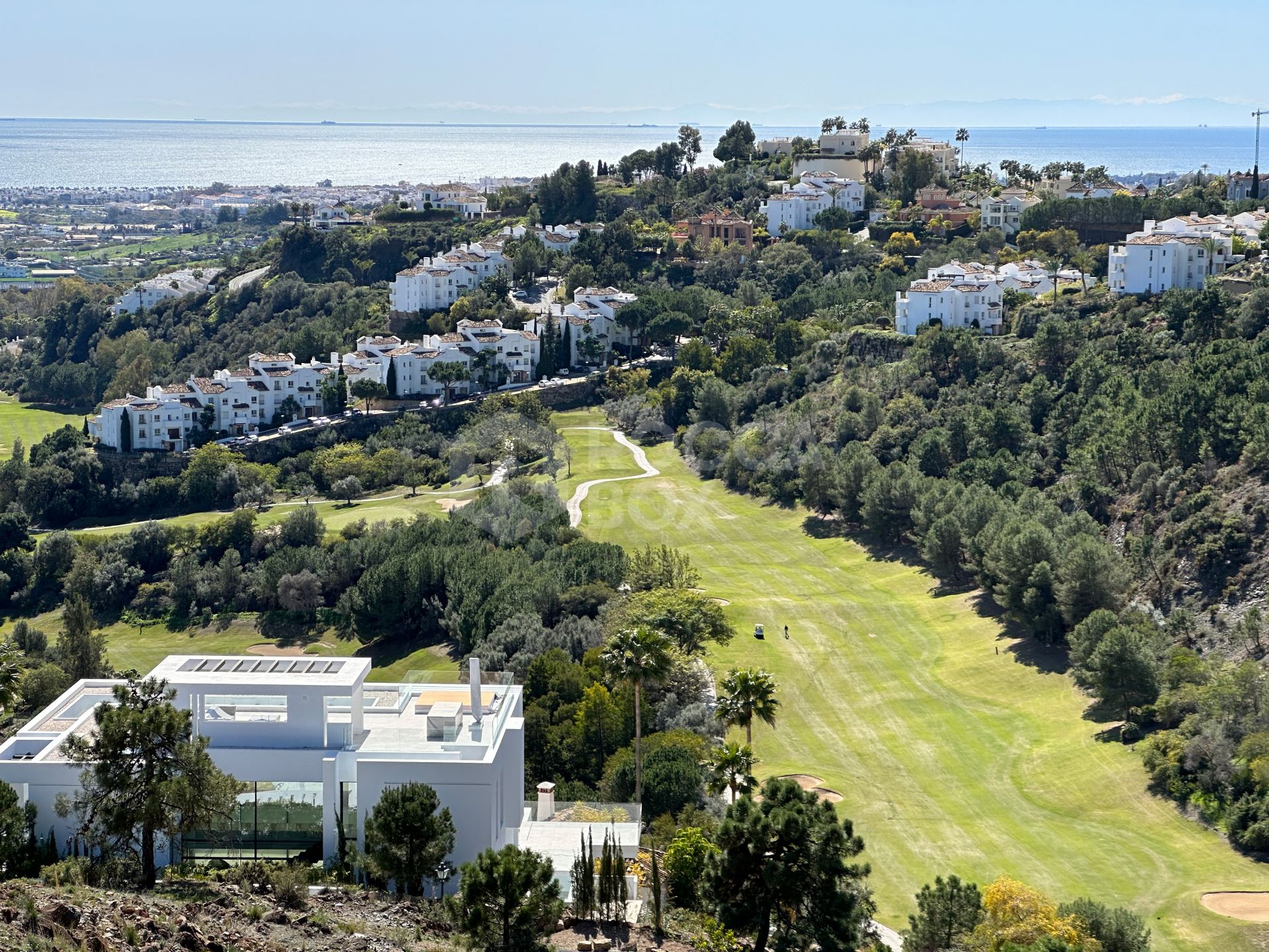 Madroñal View: Tiffany