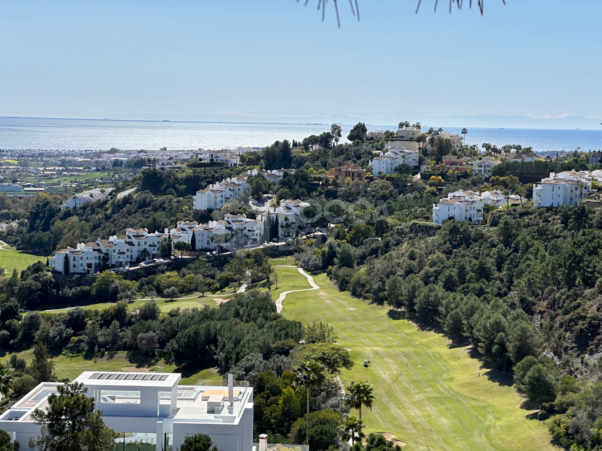 Madroñal View: Tiffany