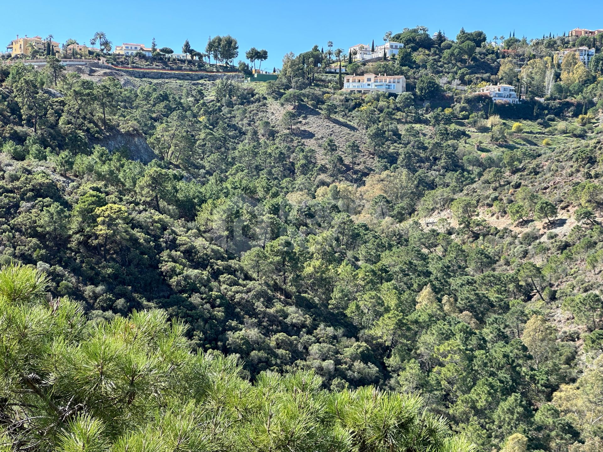 Madroñal View: Tiffany