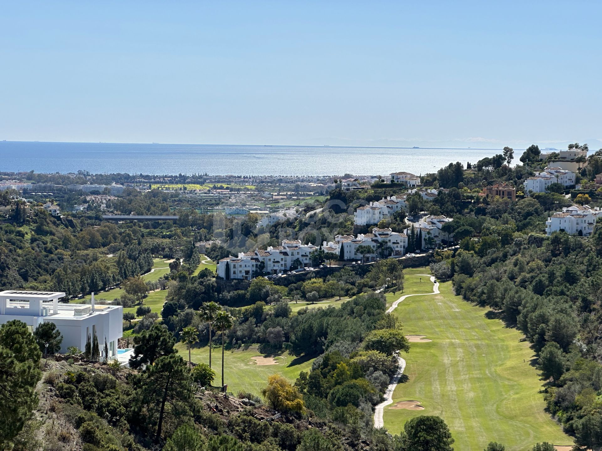 Madroñal View: Tiffany