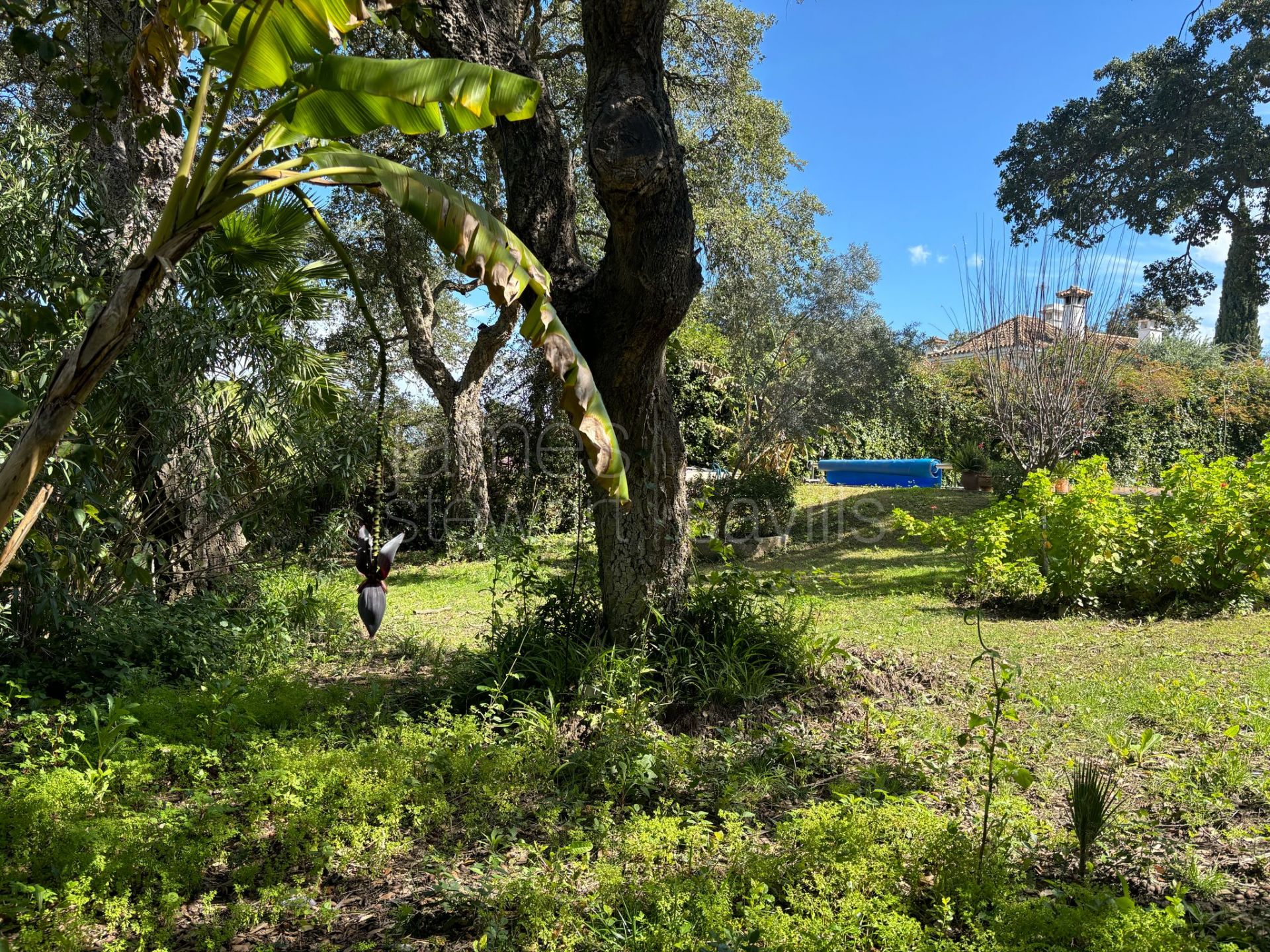 Villa for Sale in Sotogrande Central