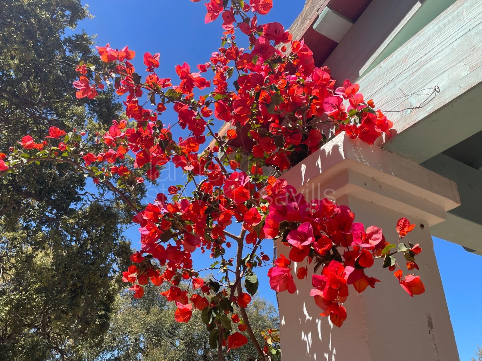 Villa for Sale in Sotogrande Central